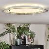 Ipres Plafones, Panel LED Plata, Blanca, 1 luz