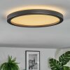 Xarel Plafones, Panel LED Negro, 1 luz