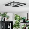 Ilyan Plafones, Panel LED Negro, 1 luz