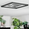 Ilyan Plafones, Panel LED Negro, 1 luz