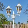 Hongkong Candelabro, Iluminación de caminos Blanca, 2 luces