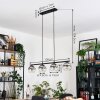 Koyoto Lámparas suspendidas, Luminarias esféricas, Lámparas colgantes Transparente, Ahumado, 4 luces