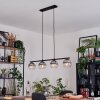 Koyoto Lámparas suspendidas, Luminarias esféricas, Lámparas colgantes Transparente, Ahumado, 4 luces