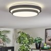 Orvan Plafones, Panel LED Negro, Blanca, 1 luz
