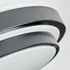 Orvan Plafones, Panel LED Negro, Blanca, 1 luz