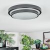 Orvan Plafones, Panel LED Negro, Blanca, 1 luz