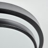 Orvan Plafones, Panel LED Negro, Blanca, 1 luz