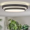 Orvan Plafones, Panel LED Negro, Blanca, 1 luz