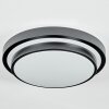 Orvan Plafones, Panel LED Negro, Blanca, 1 luz