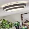 Orvan Plafones, Panel LED Negro, Blanca, 1 luz
