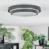 Orvan Plafones, Panel LED Negro, Blanca, 1 luz