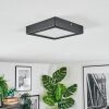 Isela Plafones, Panel LED Negro, 1 luz