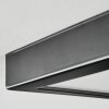 Isela Plafones, Panel LED Negro, 1 luz