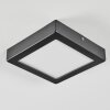 Isela Plafones, Panel LED Negro, 1 luz
