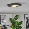 Isela Plafones, Panel LED Negro, 1 luz