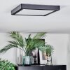 Isela Plafones, Panel LED Negro, 1 luz