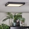 Isela Plafones, Panel LED Negro, 1 luz