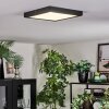 Isela Plafones, Panel LED Negro, 1 luz