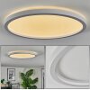 Xarel Plafones, Panel LED Blanca, 1 luz