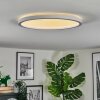 Xarel Plafones, Panel LED Blanca, 1 luz
