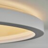 Xarel Plafones, Panel LED Blanca, 1 luz