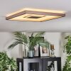 Ilion Plafones, Panel LED Níquel-mate, Blanca, 1 luz