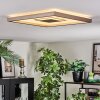 Ilion Plafones, Panel LED Níquel-mate, Blanca, 1 luz