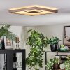 Ilion Plafones, Panel LED Níquel-mate, Blanca, 1 luz