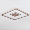 Ilion Plafones, Panel LED Níquel-mate, Blanca, 1 luz