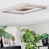 Ilion Plafones, Panel LED Níquel-mate, Blanca, 1 luz