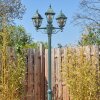 Naofe Candelabro, Iluminación de caminos Verde, Negro, 3 luces
