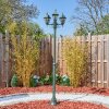 Naofe Candelabro, Iluminación de caminos Verde, Negro, 3 luces
