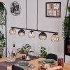 Koyoto Lámparas suspendidas, Luminarias esféricas, Lámparas colgantes Colores ámbar, Transparente, Ahumado, 5 luces