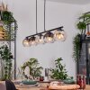 Koyoto Lámparas suspendidas, Luminarias esféricas, Lámparas colgantes Colores ámbar, Transparente, Ahumado, 5 luces