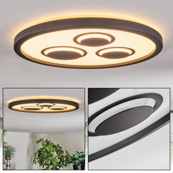 Ilyan Plafones, Panel LED Negro, 1 luz