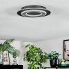 Lidor Plafones LED Negro, 1 luz