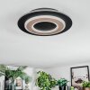 Lidor Plafones LED Negro, 1 luz