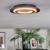 Lidor Plafones LED Negro, 1 luz