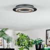 Lidor Plafones LED Negro, 1 luz