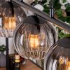 Koyoto Lámparas suspendidas, Luminarias esféricas, Lámparas colgantes Transparente, Ahumado, 5 luces