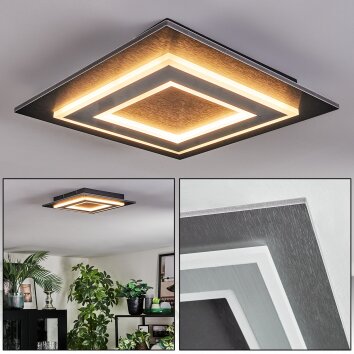 Lidor Plafones LED Negro, 1 luz