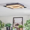 Lidor Plafones LED Negro, 1 luz