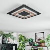 Lidor Plafones LED Negro, 1 luz
