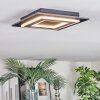 Lidor Plafones LED Negro, 1 luz