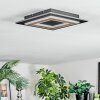 Lidor Plafones LED Negro, 1 luz