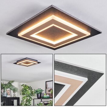 Lidor Plafones LED Negro, 1 luz