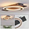 Lidor Plafones LED Negro, 1 luz