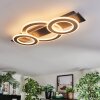 Lidor Plafones LED Cromo, Negro, 1 luz