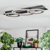 Lidor Plafones LED Cromo, Negro, 1 luz