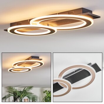 Lidor Plafones LED Negro, 1 luz